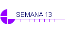 SEMANA 13