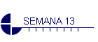 SEMANA 13